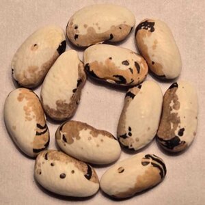 Dlouha Pulena Ze Smolijanu.jpg