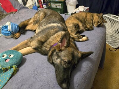 Tegan & Lynx, 03-13-26.jpg