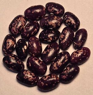 Fountain Pitts Allen.jpg Fountain Pitts Allen.jpg