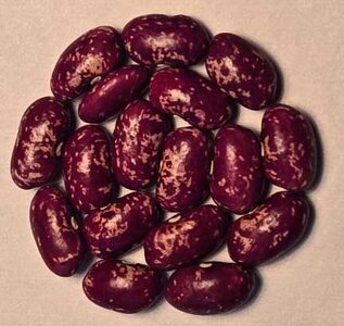 Fountain Red.jpg Fountain Red.jpg