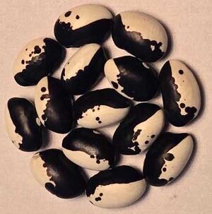 Georgia Black And White.jpg