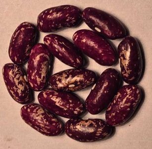 Iroquois Cornbread.jpg