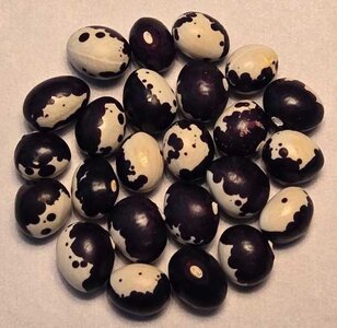 Milky Way OT - 25.jpg