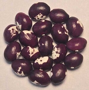 Monachella Rossa.jpg