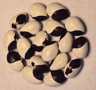 Monachelle Di Norcia.jpg