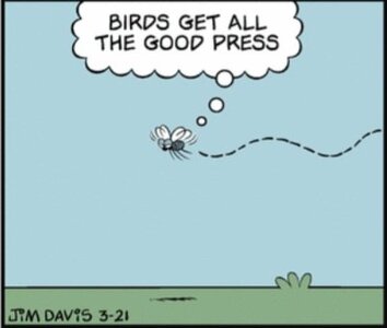 Screenshot_20260404_063406_Chrome.jpg Screenshot_20260404_063406_Chrome.jpg