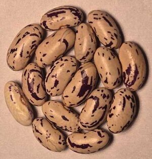 Musanze Cranberry.jpg