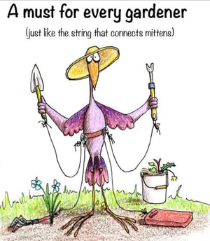1775411031398.png