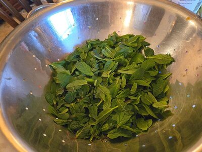 Mint sauce & jelly, 04-04-26, #2.jpg