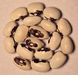 Occio Della Madonna.jpg