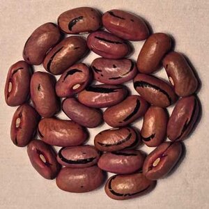 Rio Zape.jpg Rio Zape.jpg