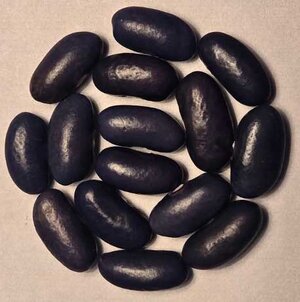 Sacre Bleu.jpg Sacre Bleu.jpg