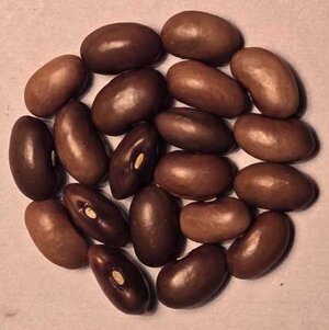 San Fiarce.jpg San Fiarce.jpg