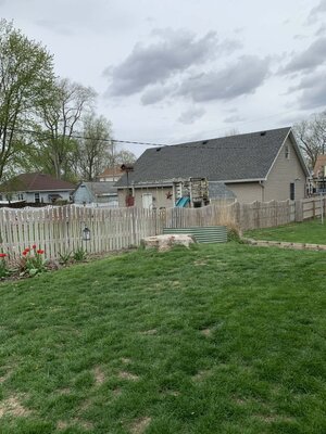 Wilma's raised bed, #2.jpg