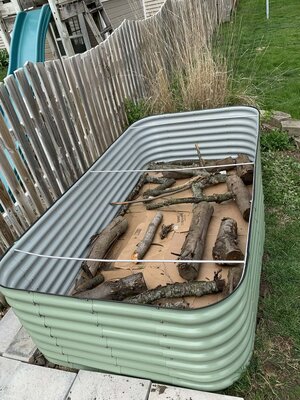 Wilma's raised bed, #1.jpg