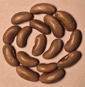 Veitch Wonder OT 25.jpg