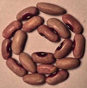 Victoria Brown Eyes Pink OT.jpg