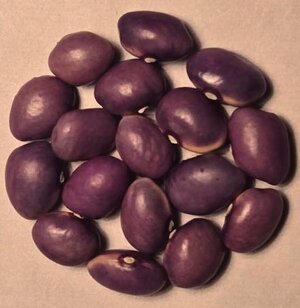 Viola Di Assiago.jpg