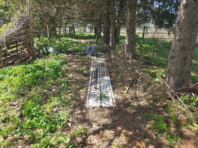 Camo tarp area south yard, 04-22-26, #2.jpg