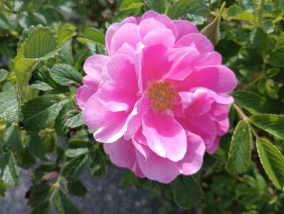 IMG_20260430_162317956.jpg