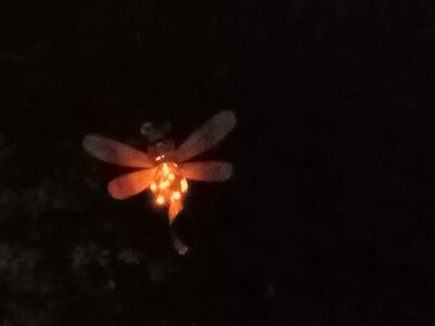 20260510_204622.jpg