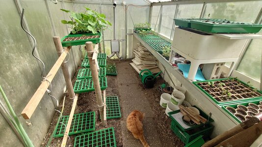 Greenhouse_1.JPG
