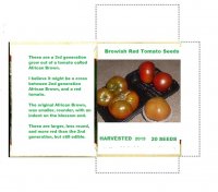 brownish Red tomato seeds.jpg