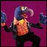 Gonzo the Great