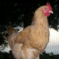 mahsmaj