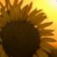 *Sunflower*Girl*