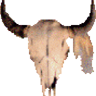 Texan