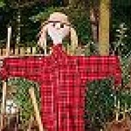 oberhaslikid