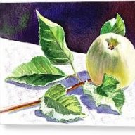 Pomme