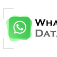 WSdatabase123