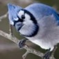 Booswalia