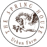 The Spring House