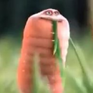 AttilaDaWorm