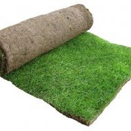 Astro Turf