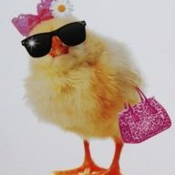 Cool Chick