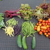 Iheartgardens