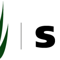 synlawnaustralia