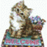 pirtykitty