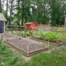 Lauras mini homestead