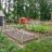 Lauras mini homestead